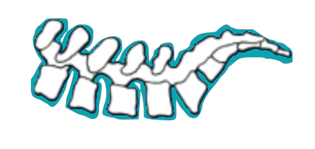 Valliquette Chiropractic Clinic