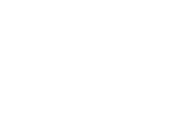 Say More Therapy & Wellness
